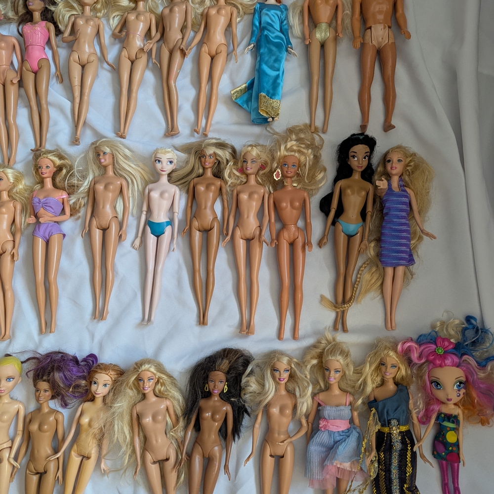 Assorted Fashion Dolls Collection